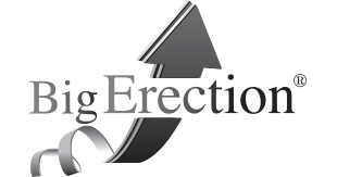 BigErection logo